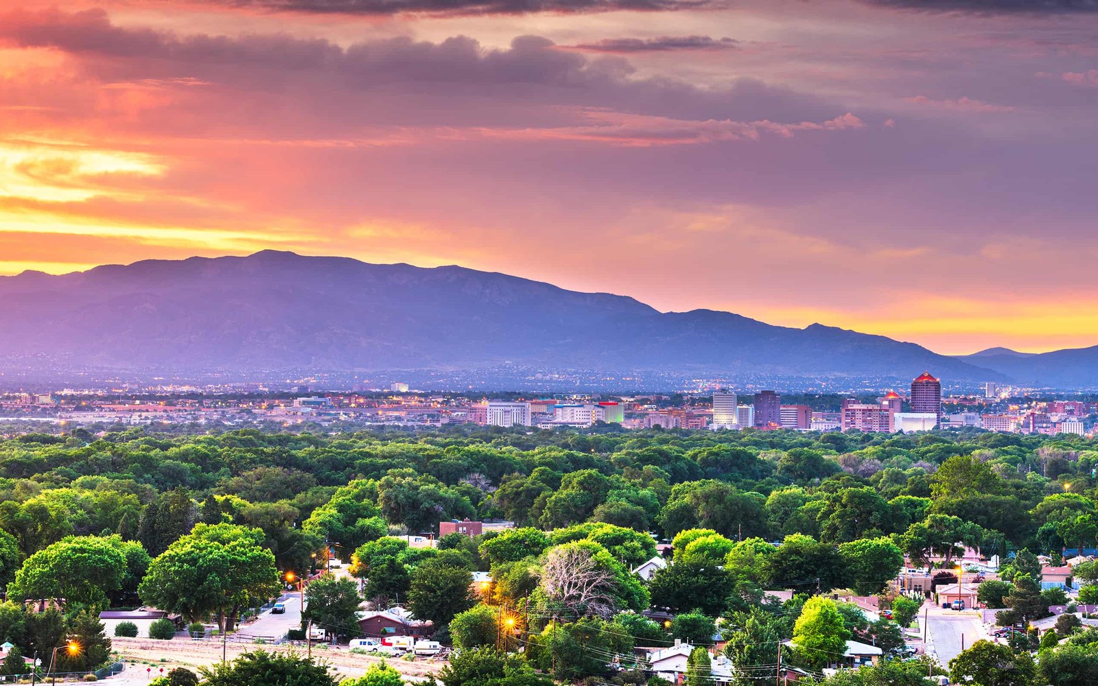Albuquerque, NM